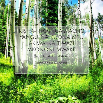 Picture 07 - Zekaria 2:1 SWHULB - Kisha nikainua macho yangu na kuona mtu akiwa na - Bible Verse Picture
