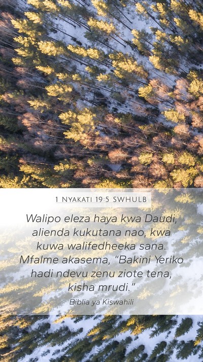 1 Nyakati 19:5 SWHULB Bible Verse Image