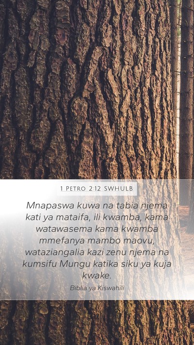 1 Petro 2:12 SWHULB Bible Verse Image