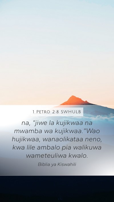 1 Petro 2:8 SWHULB Bible Verse Image