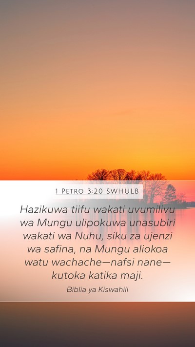 1 Petro 3:20 SWHULB Bible Verse Image