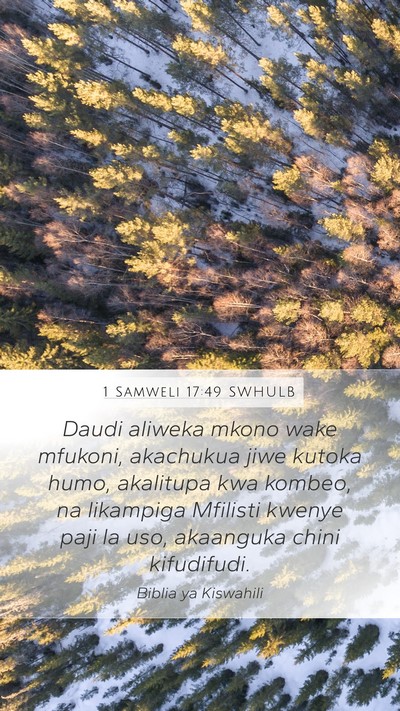 1 Samweli 17:49 SWHULB Bible Verse Image