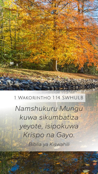 1 Wakorintho 1:14 SWHULB Bible Verse Image