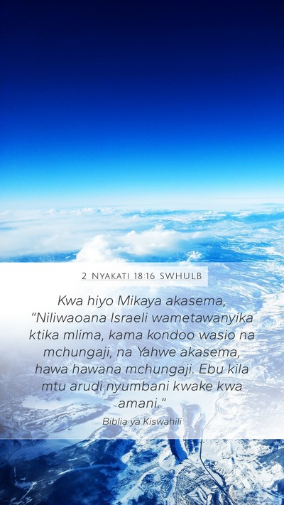 2 Nyakati 18:16 SWHULB Bible Verse Image