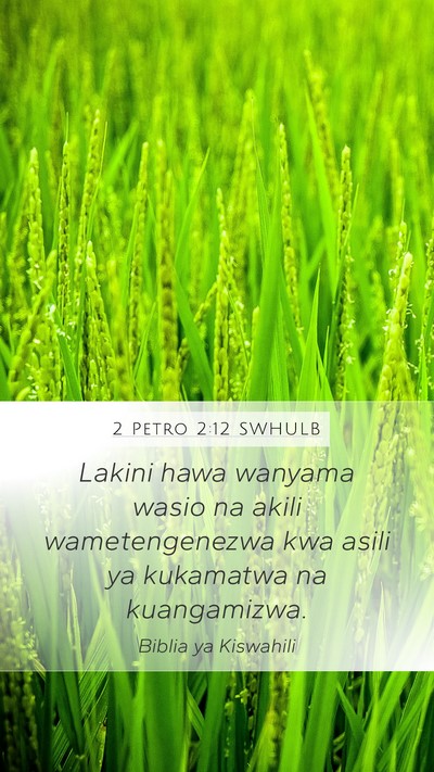 2 Petro 2:12 SWHULB Bible Verse Image