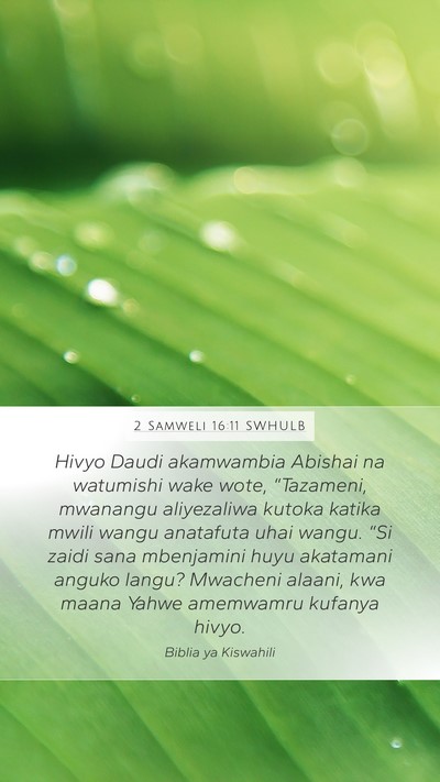 2 Samweli 16:11 SWHULB Bible Verse Image