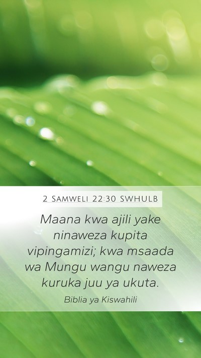 2 Samweli 22:30 SWHULB Bible Verse Image