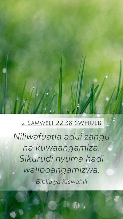 2 Samweli 22:38 SWHULB Bible Verse Image