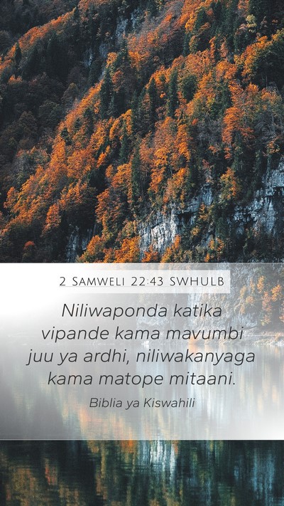 2 Samweli 22:43 SWHULB Bible Verse Image