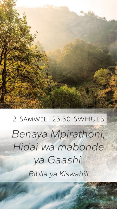 2 Samweli 23:30 SWHULB Mobile Phone Wallpaper - Benaya Mpirathoni, Hidai wa mabonde ya - Mobile Bible Verse Wallpaper