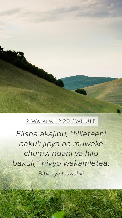 2 Wafalme 2:20 SWHULB Bible Verse Image