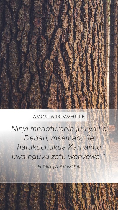 Amosi 6:13 SWHULB Bible Verse Image