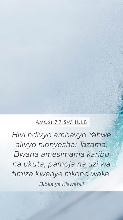 Amosi 7:7 SWHULB Bible Verse Image