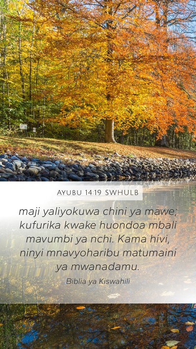 Ayubu 14:19 SWHULB Bible Verse Image