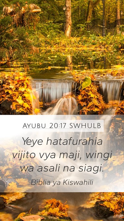 Ayubu 20:17 SWHULB Bible Verse Image