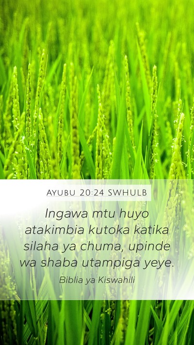 Ayubu 20:24 SWHULB Bible Verse Image