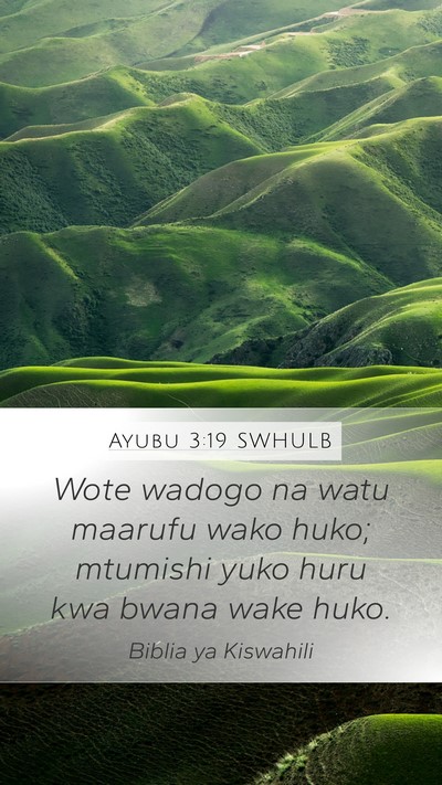Ayubu 3:19 SWHULB Mobile Phone Wallpaper - Wote wadogo na watu maarufu wako huko; mtumishi - Mobile Bible Verse Wallpaper