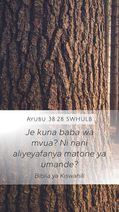 Ayubu 38:28 SWHULB Bible Verse Image