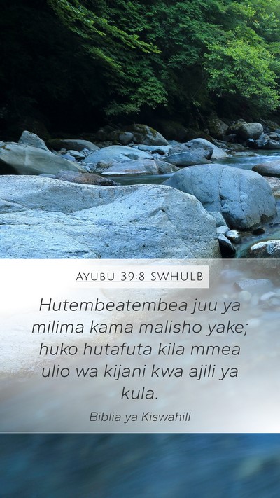 Ayubu 39:8 SWHULB Bible Verse Image