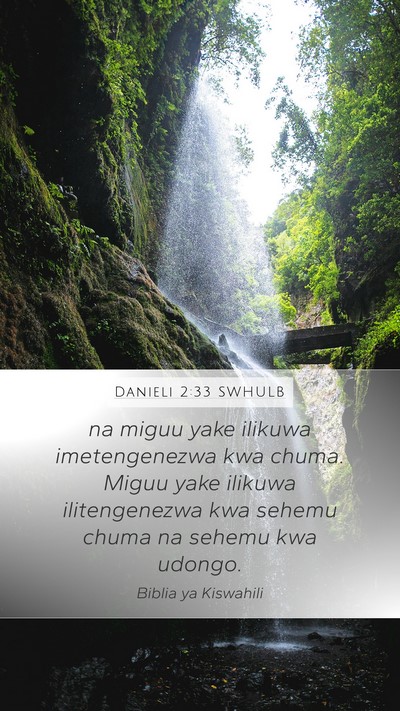 Danieli 2:33 SWHULB Bible Verse Image