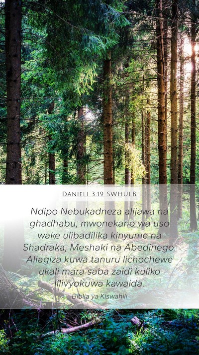 Danieli 3:19 SWHULB Bible Verse Image