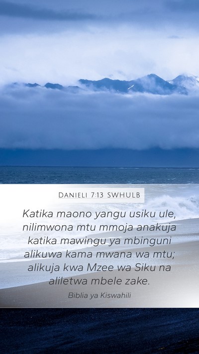 Danieli 7:13 SWHULB Bible Verse Image