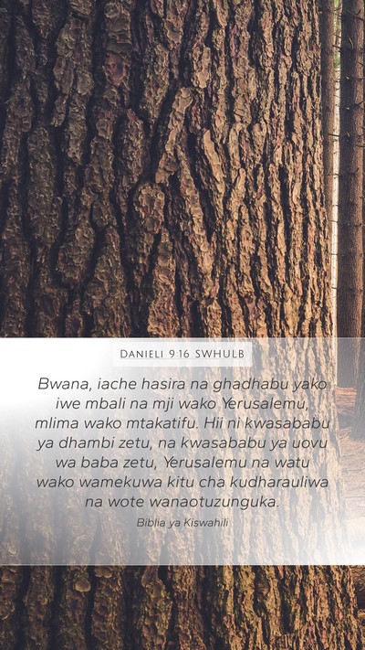 Danieli 9:16 SWHULB Bible Verse Image