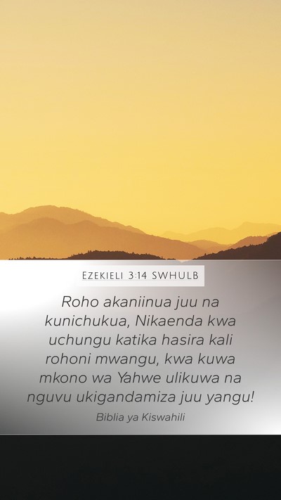 Ezekieli 3:14 SWHULB Bible Verse Image