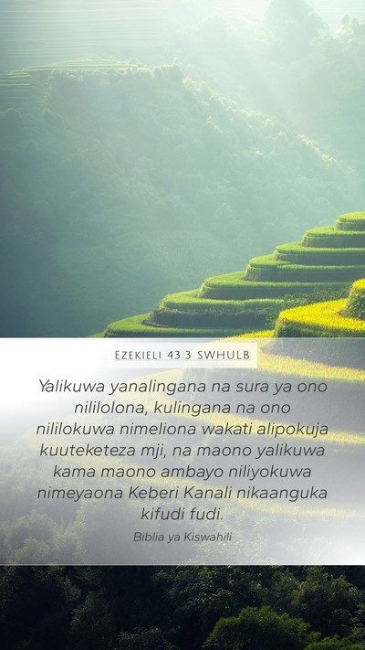 Ezekieli 43:3 SWHULB Bible Verse Image