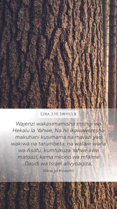 Ezra 3:10 SWHULB Bible Verse Image