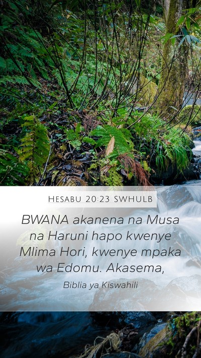 Hesabu 20:23 SWHULB Bible Verse Image