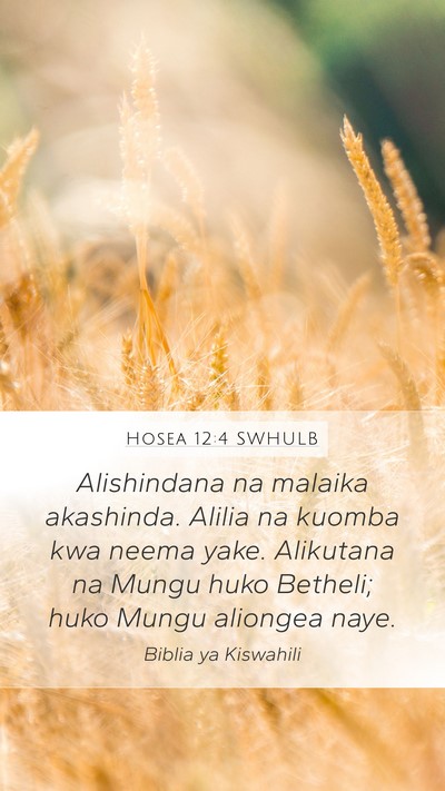 Hosea 12:4 SWHULB Bible Verse Image