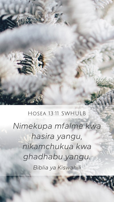 Hosea 13:11 SWHULB Bible Verse Image
