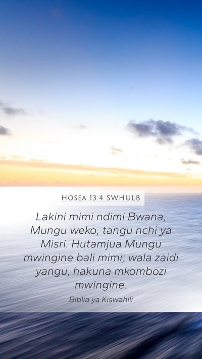 Hosea 13:4 SWHULB Bible Verse Image