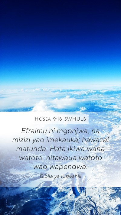 Hosea 9:16 SWHULB Bible Verse Image