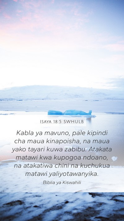Isaya 18:5 SWHULB Bible Verse Image