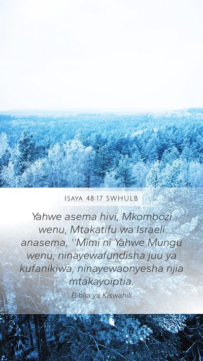 Isaya 48:17 SWHULB Bible Verse Image