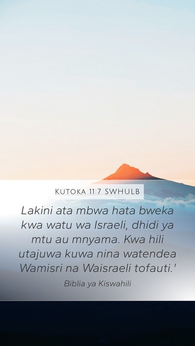 Kutoka 11:7 SWHULB Bible Verse Image