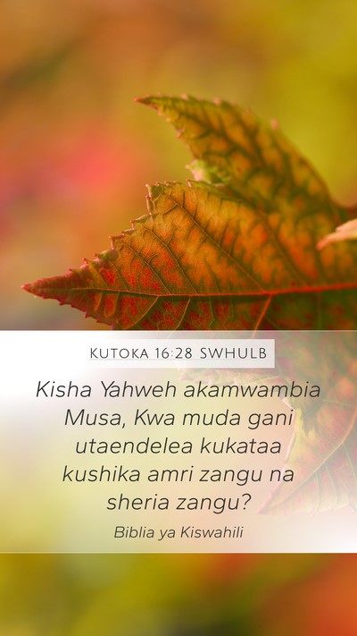 Kutoka 16:28 SWHULB Bible Verse Image