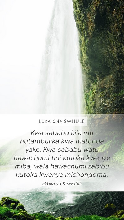 Luka 6:44 SWHULB Bible Verse Image
