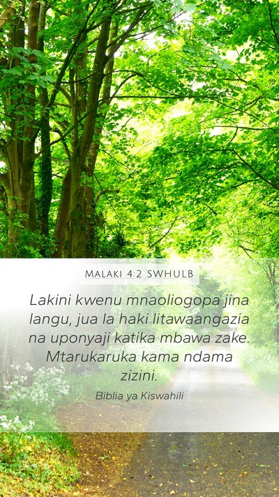 Malaki 4:2 SWHULB Bible Verse Image
