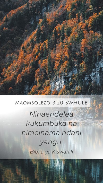 Maombolezo 3:20 SWHULB Bible Verse Image