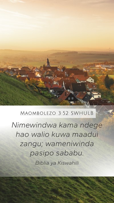 Maombolezo 3:52 SWHULB Bible Verse Image