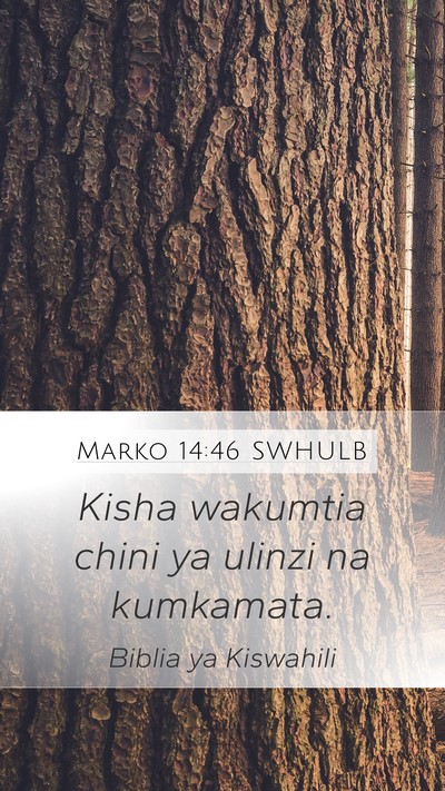 Marko 14:46 SWHULB Bible Verse Image