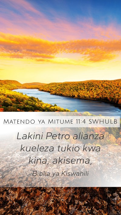 Matendo ya Mitume 11:4 SWHULB Bible Verse Image