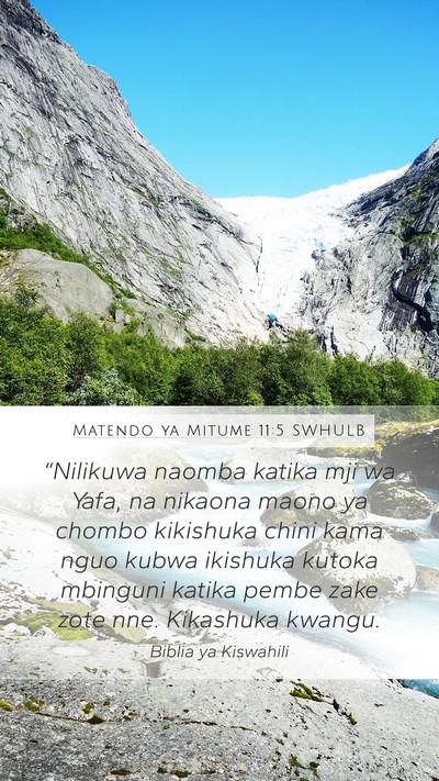 Matendo ya Mitume 11:5 SWHULB Bible Verse Image