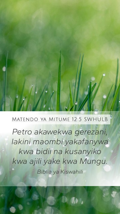 Matendo ya Mitume 12:5 SWHULB Bible Verse Image