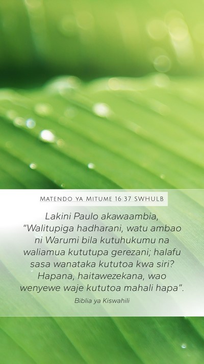 Matendo ya Mitume 16:37 SWHULB Bible Verse Image