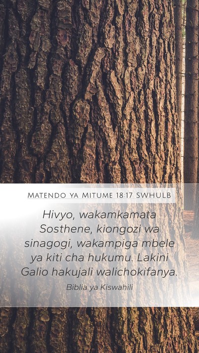Matendo ya Mitume 18:17 SWHULB Bible Verse Image