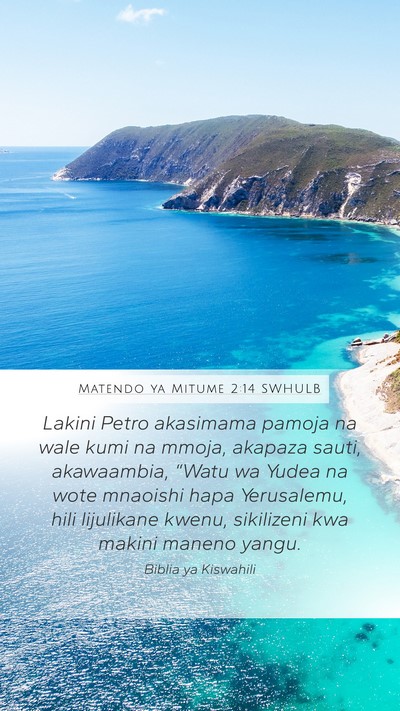 Matendo ya Mitume 2:14 SWHULB Bible Verse Image